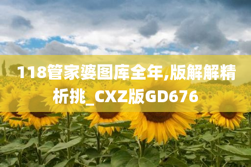 118管家婆图库全年,版解解精析挑_CXZ版GD676