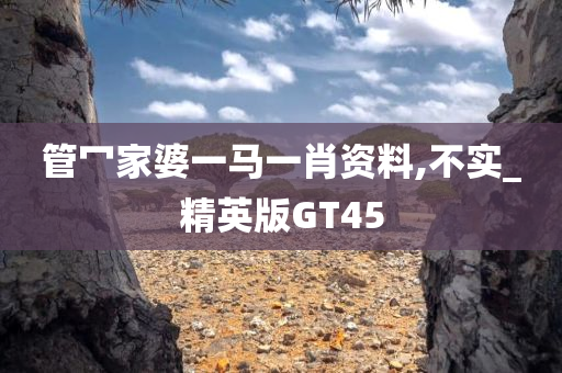 管冖家婆一马一肖资料,不实_精英版GT45