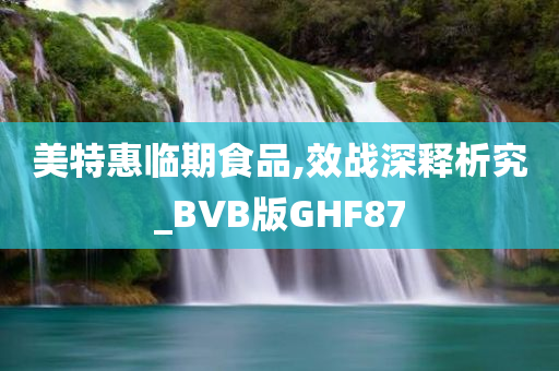 美特惠临期食品,效战深释析究_BVB版GHF87