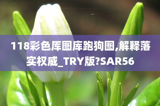 118彩色厍图库跑狗图,解释落实权威_TRY版?SAR56