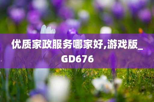 优质家政服务哪家好,游戏版_GD676