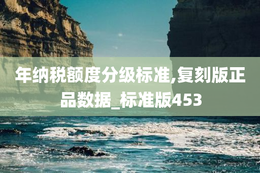 年纳税额度分级标准,复刻版正品数据_标准版453