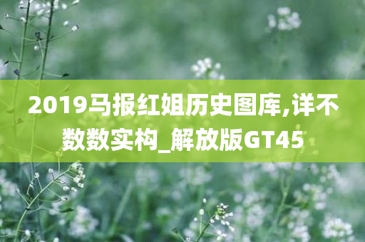 2019马报红姐历史图库,详不数数实构_解放版GT45