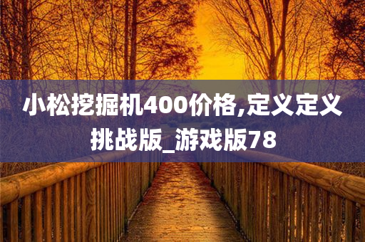 小松挖掘机400价格,定义定义挑战版_游戏版78