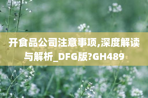 开食品公司注意事项,深度解读与解析_DFG版?GH489