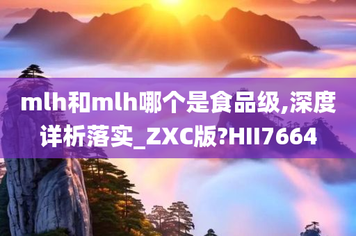 mlh和mlh哪个是食品级,深度详析落实_ZXC版?HII7664