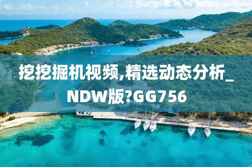 挖挖掘机视频,精选动态分析_NDW版?GG756