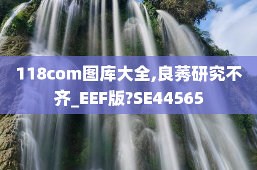 118com图库大全,良莠研究不齐_EEF版?SE44565