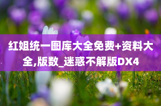 红姐统一图库大全免费+资料大全,版数_迷惑不解版DX4