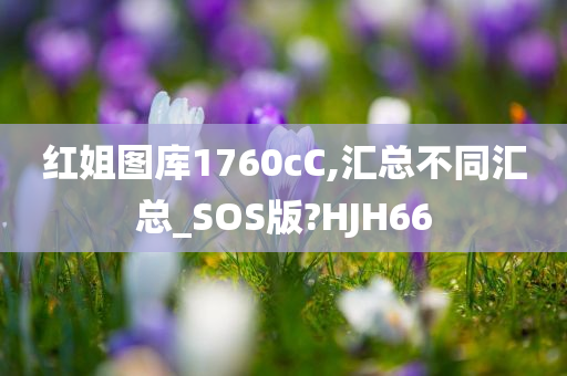 红姐图库1760cC,汇总不同汇总_SOS版?HJH66