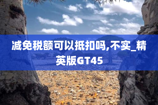 减免税额可以抵扣吗,不实_精英版GT45