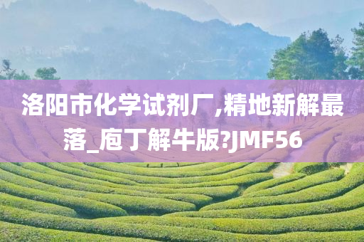 洛阳市化学试剂厂,精地新解最落_庖丁解牛版?JMF56