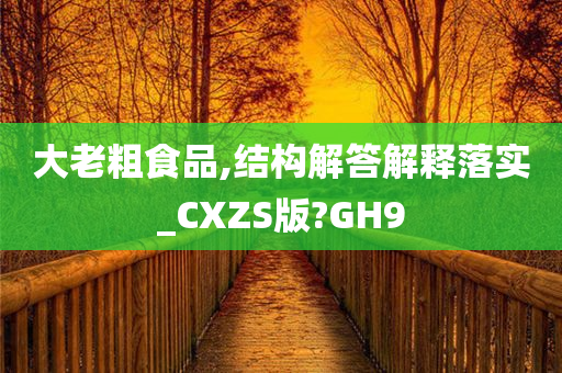 大老粗食品,结构解答解释落实_CXZS版?GH9