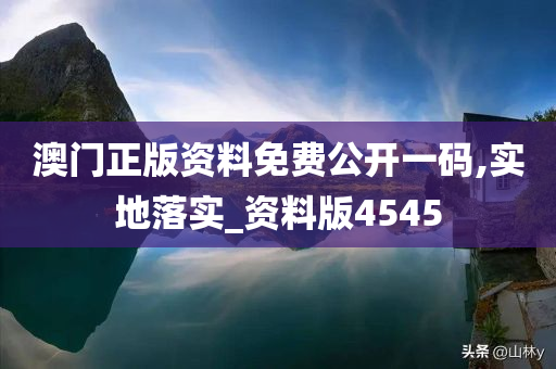 澳门正版资料免费公开一码,实地落实_资料版4545