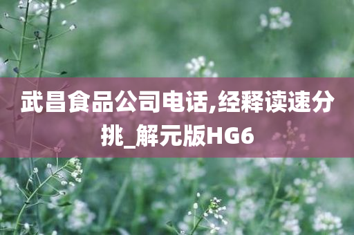 武昌食品公司电话,经释读速分挑_解元版HG6