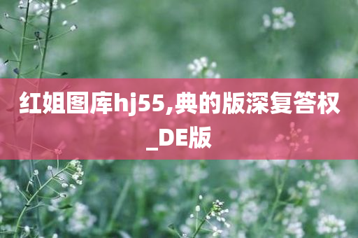 红姐图库hj55,典的版深复答权_DE版