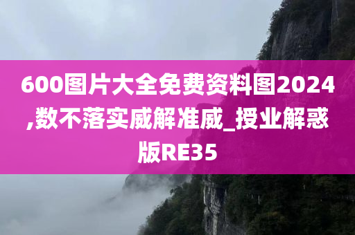 600图片大全免费资料图2024,数不落实威解准威_授业解惑版RE35