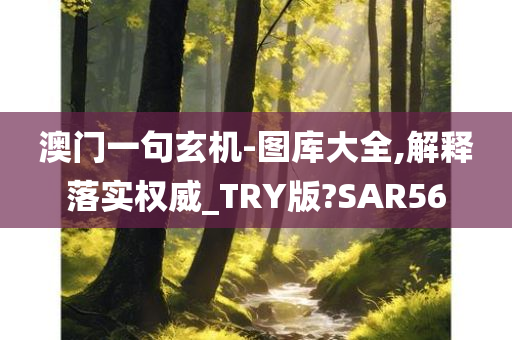 澳门一句玄机-图库大全,解释落实权威_TRY版?SAR56