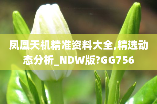 凤凰天机精准资料大全,精选动态分析_NDW版?GG756