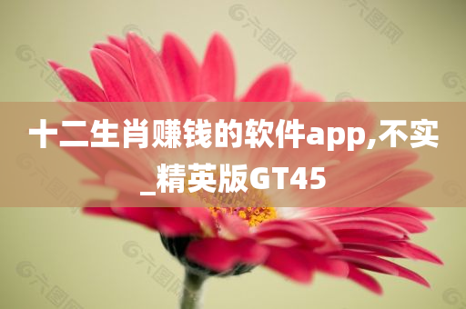 十二生肖赚钱的软件app,不实_精英版GT45