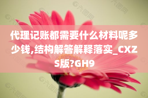 代理记账都需要什么材料呢多少钱,结构解答解释落实_CXZS版?GH9