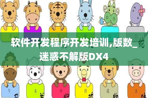 软件开发程序开发培训,版数_迷惑不解版DX4