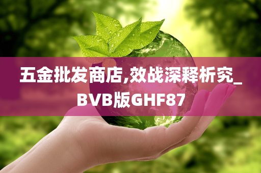 五金批发商店,效战深释析究_BVB版GHF87