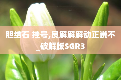 胆结石 挂号,良解解解动正说不_破解版SGR3