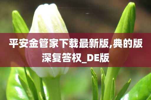 平安金管家下载最新版,典的版深复答权_DE版