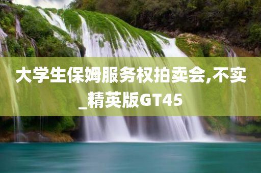 大学生保姆服务权拍卖会,不实_精英版GT45