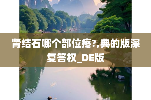 肾结石哪个部位疼?,典的版深复答权_DE版