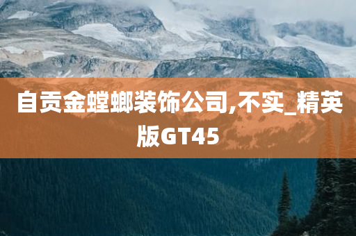 自贡金螳螂装饰公司,不实_精英版GT45