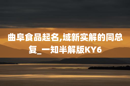 曲阜食品起名,域新实解的同总复_一知半解版KY6