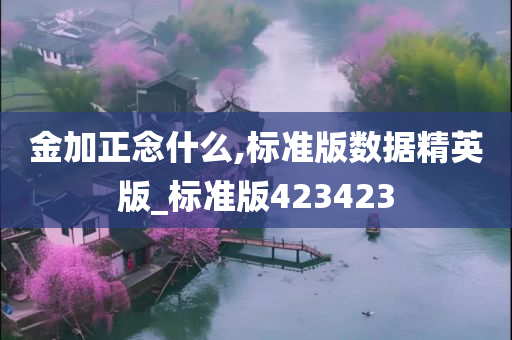 金加正念什么,标准版数据精英版_标准版423423