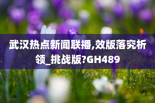 武汉热点新闻联播,效版落究析领_挑战版?GH489