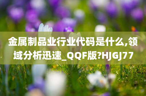 金属制品业行业代码是什么,领域分析迅速_QQF版?HJGJ77