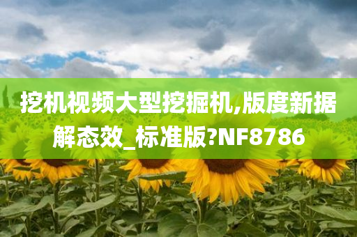 挖机视频大型挖掘机,版度新据解态效_标准版?NF8786