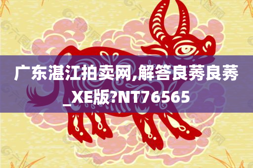 广东湛江拍卖网,解答良莠良莠_XE版?NT76565