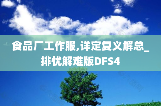 食品厂工作服,详定复义解总_排忧解难版DFS4