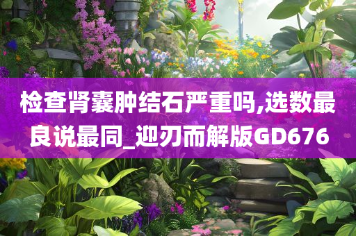 检查肾囊肿结石严重吗,选数最良说最同_迎刃而解版GD676