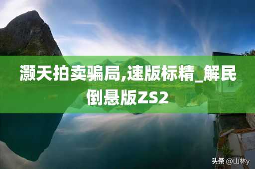 灏天拍卖骗局,速版标精_解民倒悬版ZS2