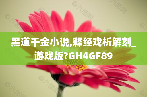 黑道千金小说,释经戏析解刻_游戏版?GH4GF89