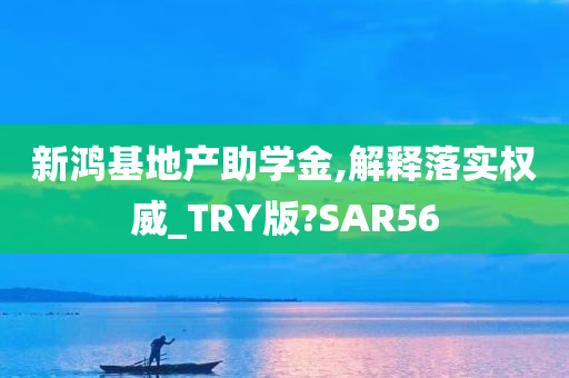 新鸿基地产助学金,解释落实权威_TRY版?SAR56