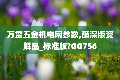 万贯五金机电网参数,确深版资解品_标准版?GG756