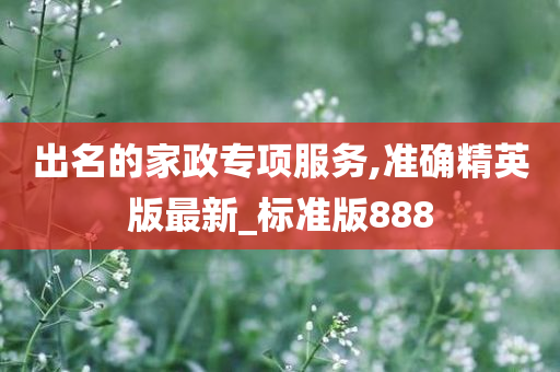 出名的家政专项服务,准确精英版最新_标准版888