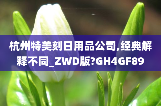 杭州特美刻日用品公司,经典解释不同_ZWD版?GH4GF89