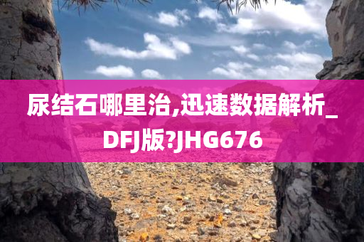 尿结石哪里治,迅速数据解析_DFJ版?JHG676