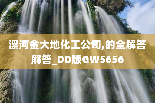 漯河金大地化工公司,的全解答解答_DD版GW5656