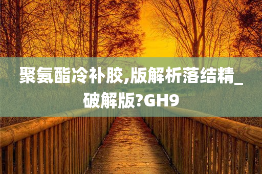 聚氨酯冷补胶,版解析落结精_破解版?GH9