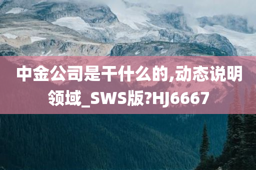 中金公司是干什么的,动态说明领域_SWS版?HJ6667